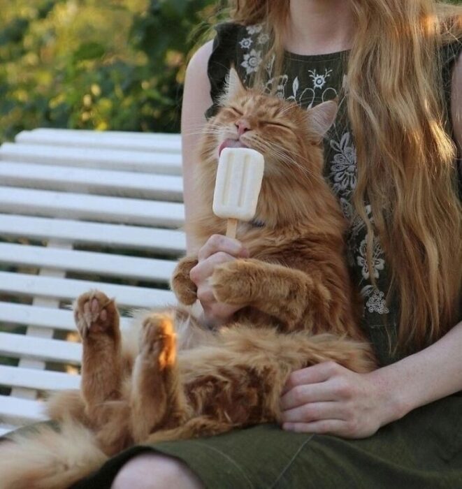 Ginger cat relaxing with popsicle on bench with woman in green dress outdoors.