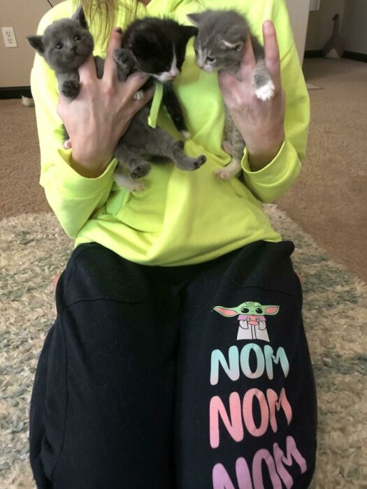 Person wearing neon yellow sweatshirt holding three playful kittens indoors.
