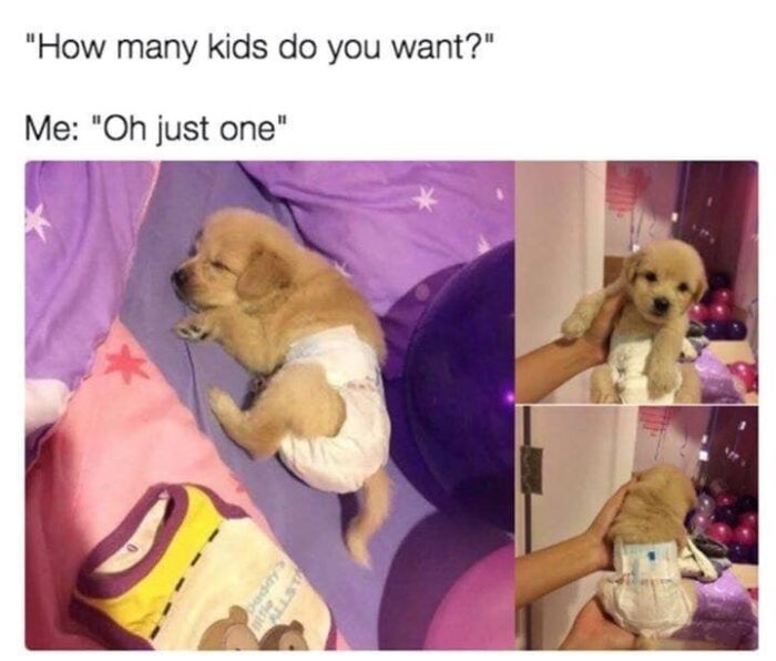 Cute puppy wearing diaper, sleeping peacefully, symbolizing playful pet parenthood joy and humor.