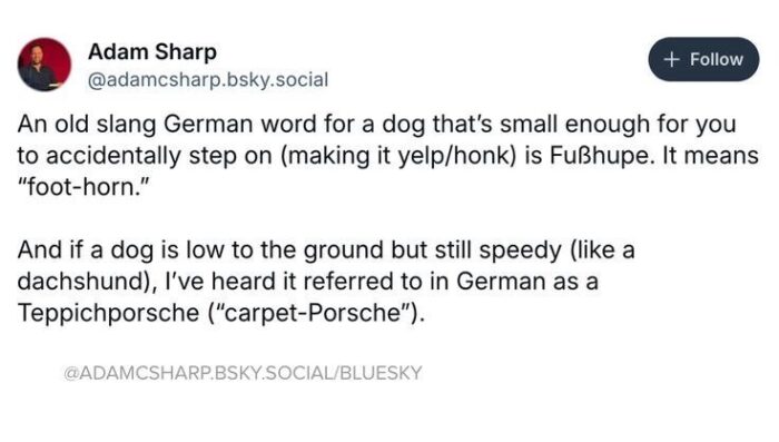 Humorous German dog terms Fußhupe and Teppichporsche describing small, speedy dogs.