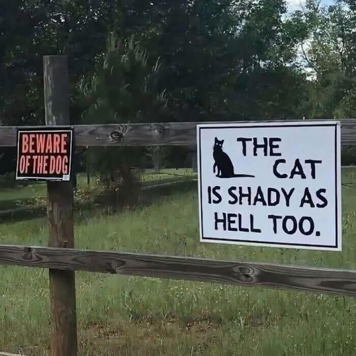 Humorous rural pet signs: Beware of the dog and playful, shady cat warning on farm fence.