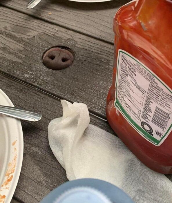 Rustic wooden table with ketchup bottle, unfinished meal, napkin, spoon, and whimsical dog nose detail.