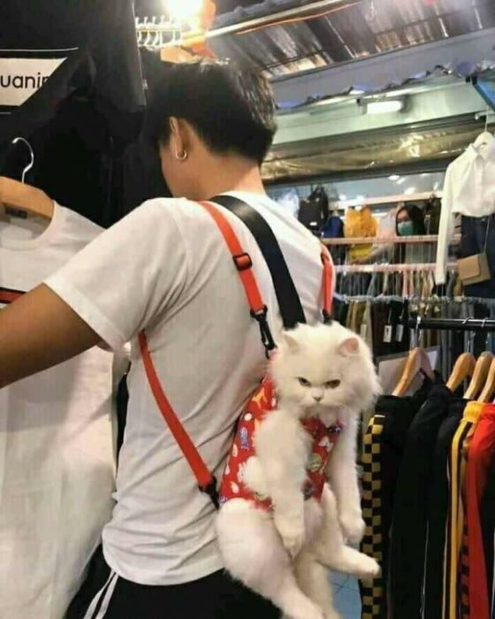 Person shopping with a fluffy white cat in a red harness backpack in clothing store.