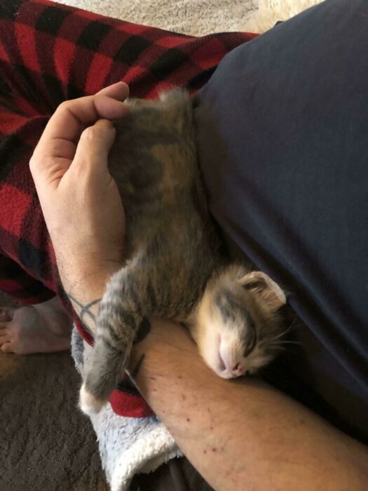 Sleeping tabby kitten cuddled in arm, cozy plaid pajamas, peaceful home comfort.