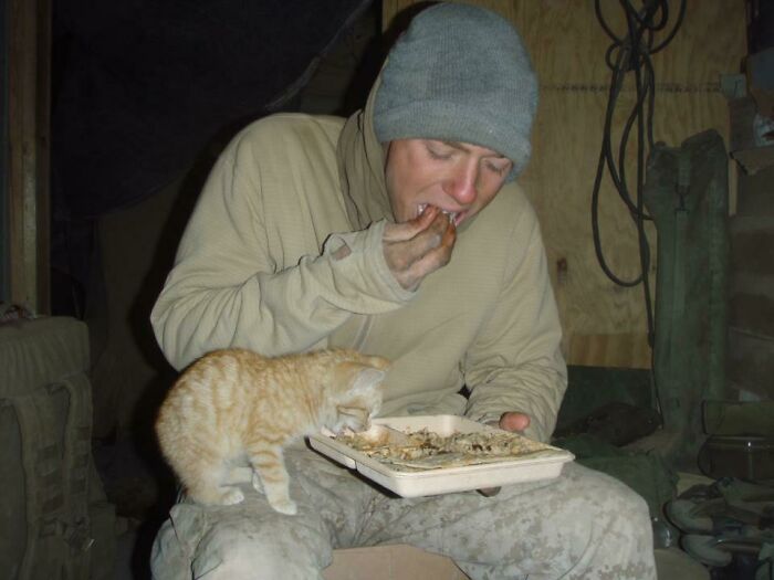 Soldier sharing military meal with curious orange tabby cat in makeshift shelter.