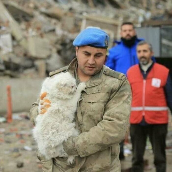 Soldier in blue beret rescues small white puppy amid disaster rubble.