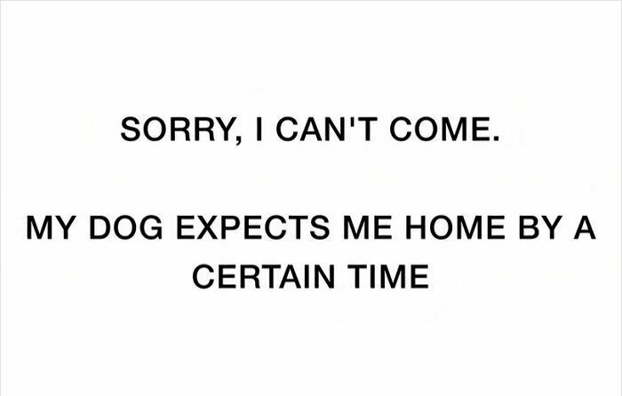 Apologetic text about declining an invitation due to dog obligations.