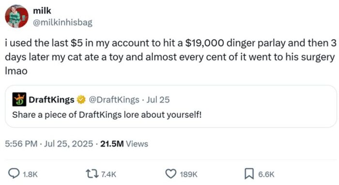 Sports betting win turns costly after cat surgery in funny DraftKings tweet screenshot.