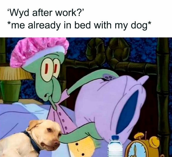 Squidward from SpongeBob relaxing in bed with a sad dog and humorous after work meme.