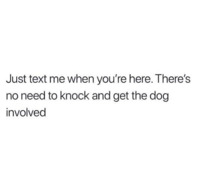 Text me when you arrive to avoid disturbing my dog.