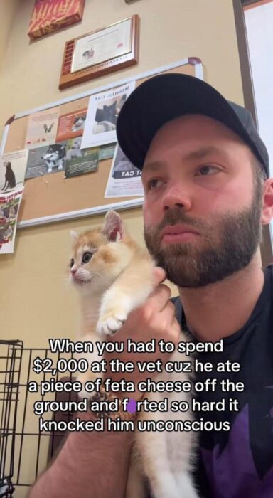 Young man with a kitten at vet after $2,000 feta cheese mishap.