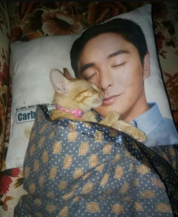 Cute orange cat cuddles a serene mans face pillow on cozy floral couch.