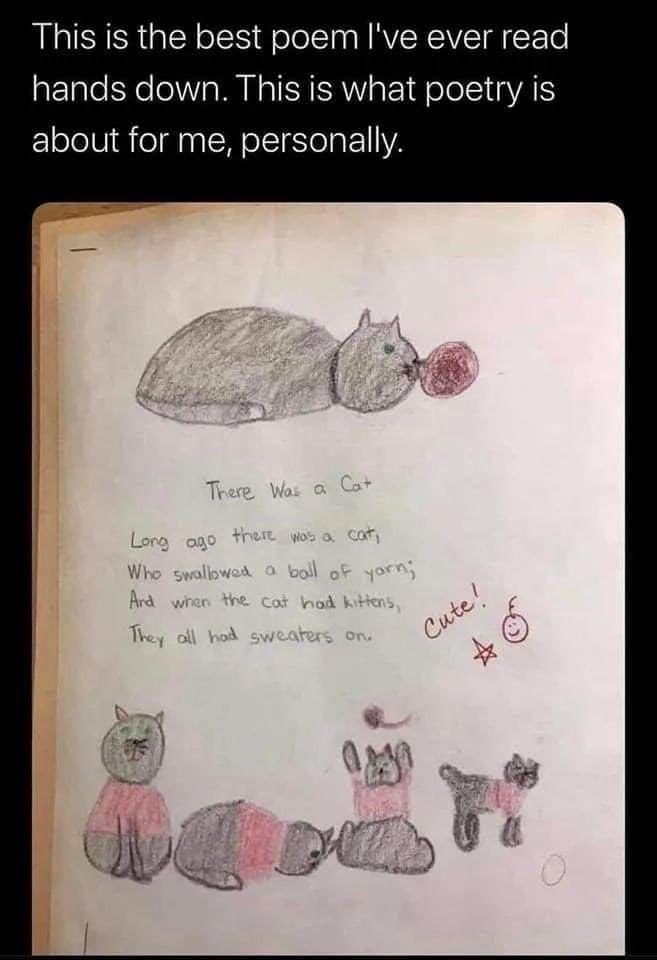 Whimsical childrens poem about a cat and kittens with colorful sweaters and playful drawings.