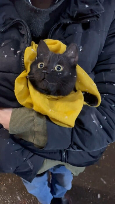 Cute black cat wrapped in yellow cloth in snowy winter outdoor scene with a person.