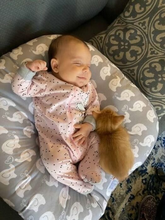 Adorable sleeping baby with a cozy kitten on a soft pillow, symbolizing innocence and comfort.