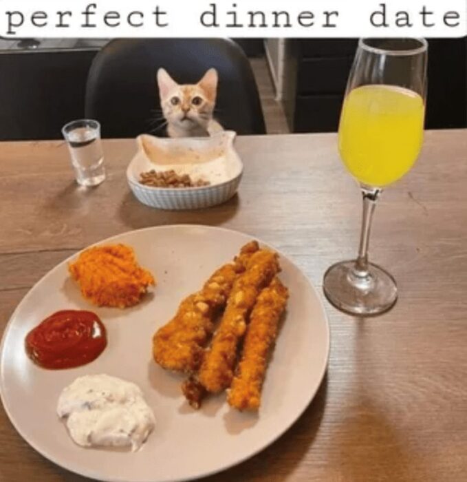 Cute cat eyeing chicken tenders and colorful drinks at a cozy dinner table.