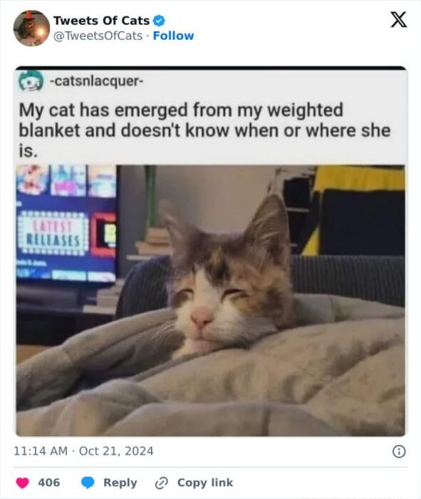 Cute cat emerging from weighted blanket with sleepy, curious expression in cozy home setting.