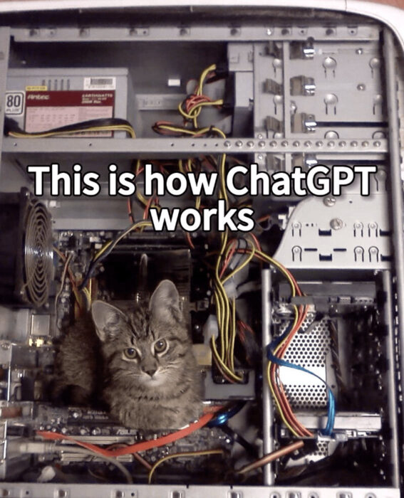 Cute tabby cat lounging inside an open computer case showcasing hardware and cables for tech humor.