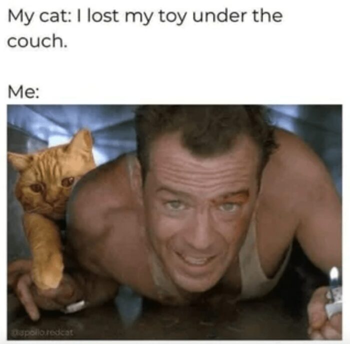 Man searches under couch for lost cat toy while a concerned cat observes.