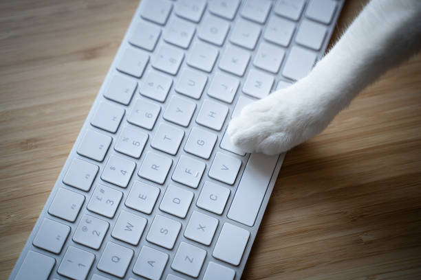 Cat paw resting on sleek white keyboard on bamboo surface.
