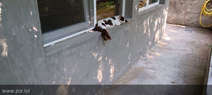 Relaxed cat lounging on outdoor window ledge in sunny garden setting.