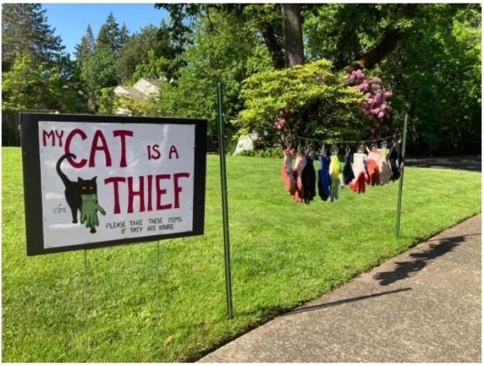 Humorous yard sign with a cat theft warning and sock display in a cheerful neighborhood.