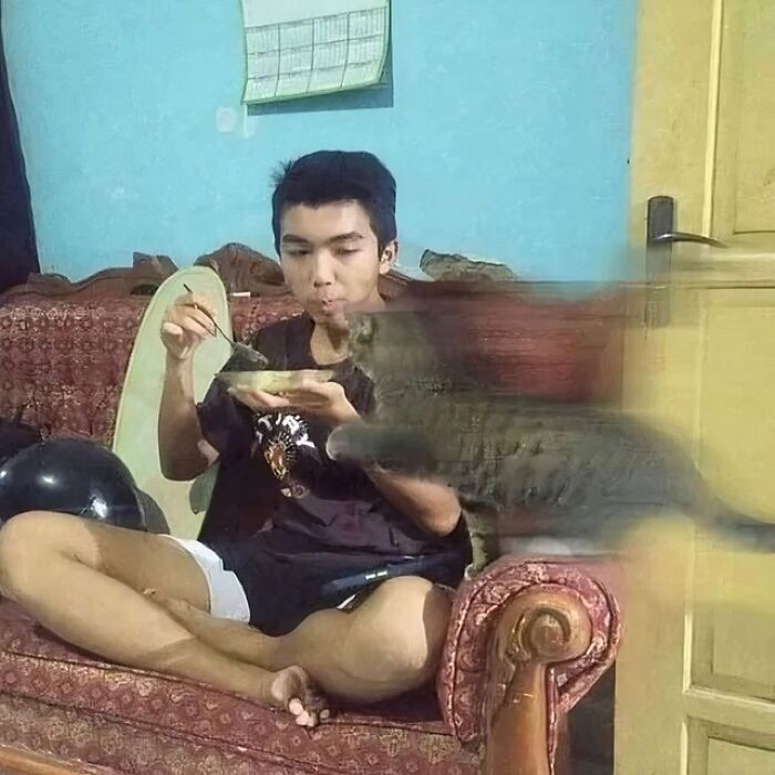Young man relaxing on couch with a moving cat in a cozy home setting.