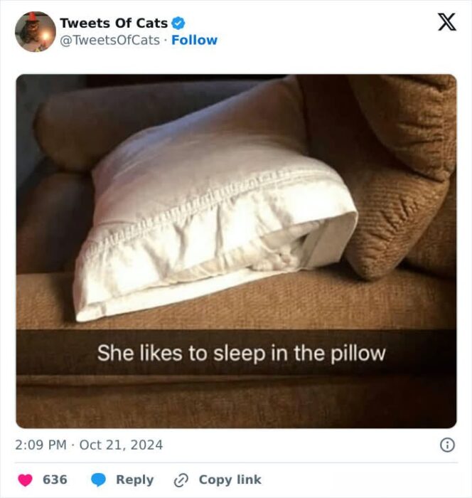 Cute cat loves sleeping in a cozy white pillow on a beige couch.