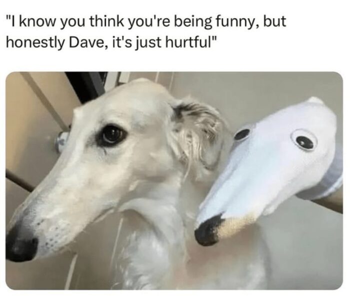 Humorous dog and sock puppet mimic each other in a playful home scene.
