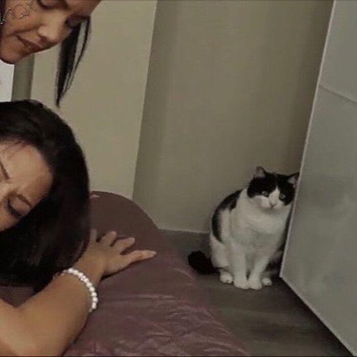 Women relaxing with a cat in a cozy living room or bedroom setting.