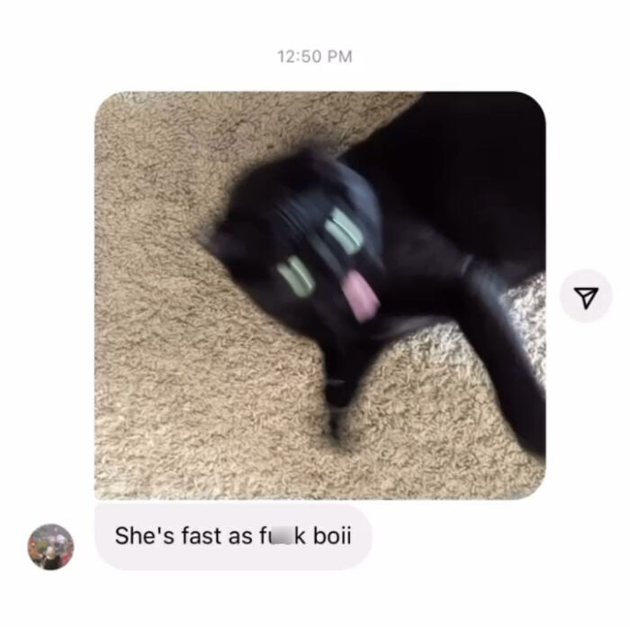 Playful black cat in motion on cozy carpet, showing speed and energy.