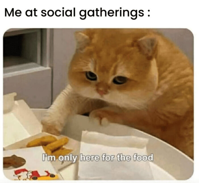 Adorable cat at a social gathering, focused on food like fries and snacks.