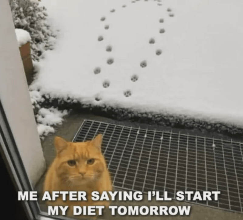 Funny ginger cat outside door with paw print snow trail, humorously procrastinating on dieting.