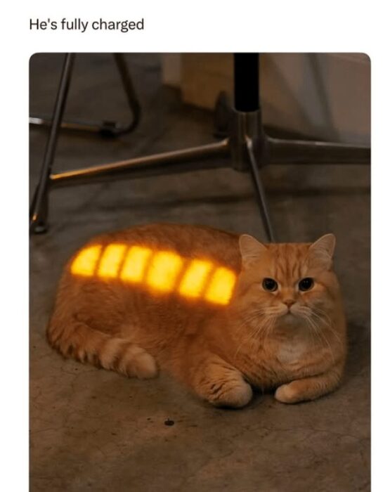 Cute orange cat relaxing with glowing battery-like light patterns on its back.