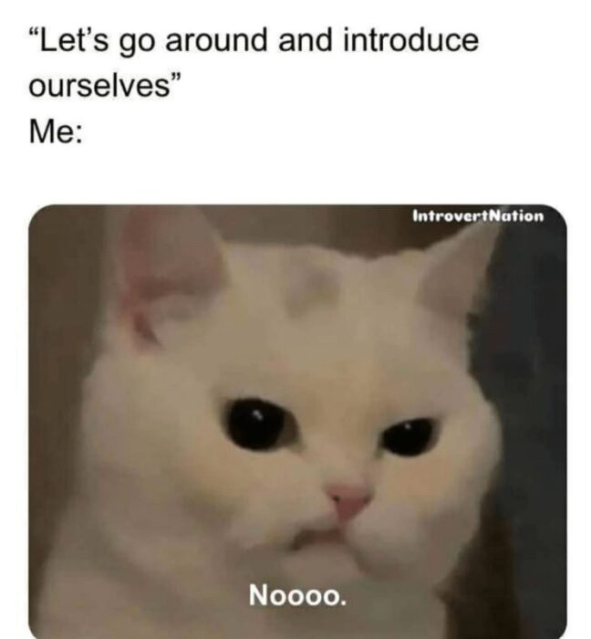 Introverted cat reacting with disapproval to social introductions and group activities.