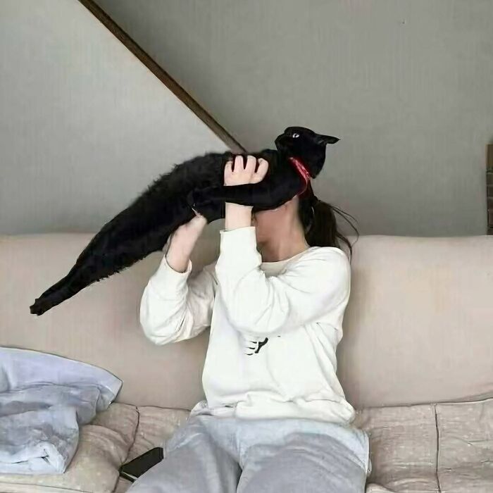 Young woman playfully holding a black cat on a cozy sofa in a bright living room.