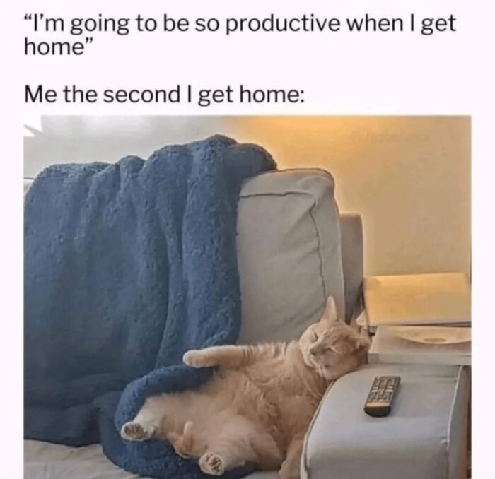 Relaxed orange tabby cat lounging on sofa with remote, humorous procrastination and relaxation at home.