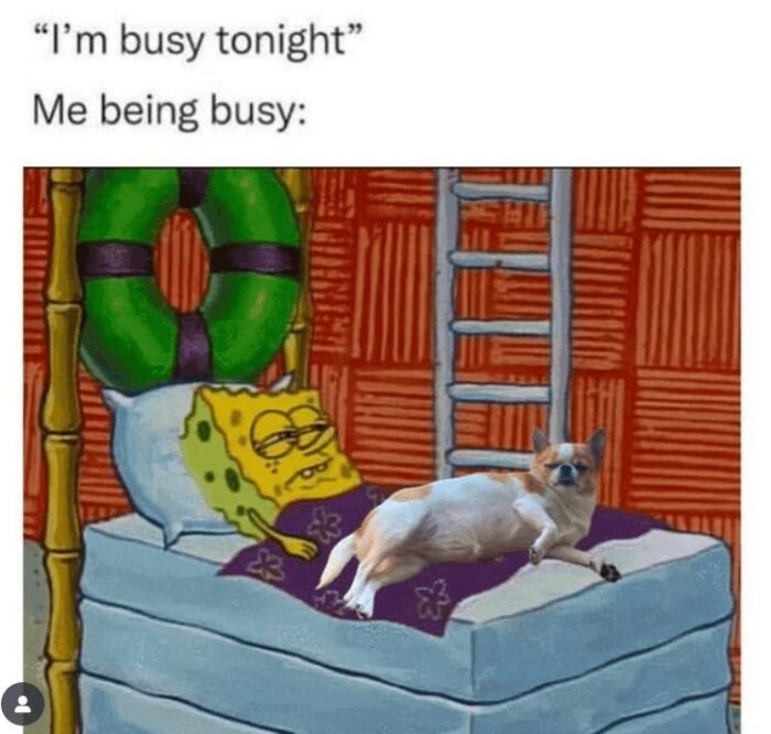 Cute SpongeBob and relaxed dog enjoying lazy night in, funny Im busy tonight meme.