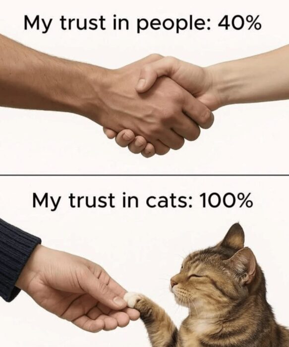 Humorous comparison of trust in people versus cats with handshakes and paw interactions.