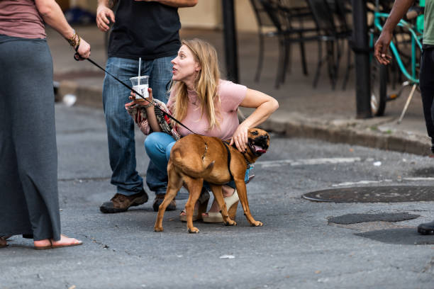 Casual urban street scene with people, dog, cafe outdoor seating, and city life ambiance.