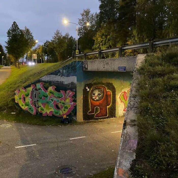 Colorful graffiti art and whimsical cat mural under bridge in urban park.