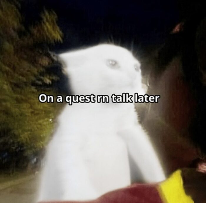 Luminous white cat on night adventure with a person capturing a spontaneous outdoor moment.